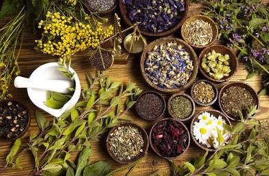 Herbal Remedies